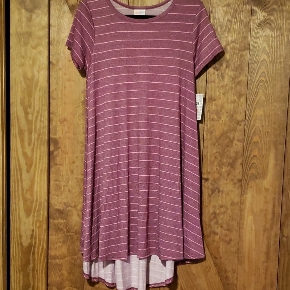 Xs lularoe Carly